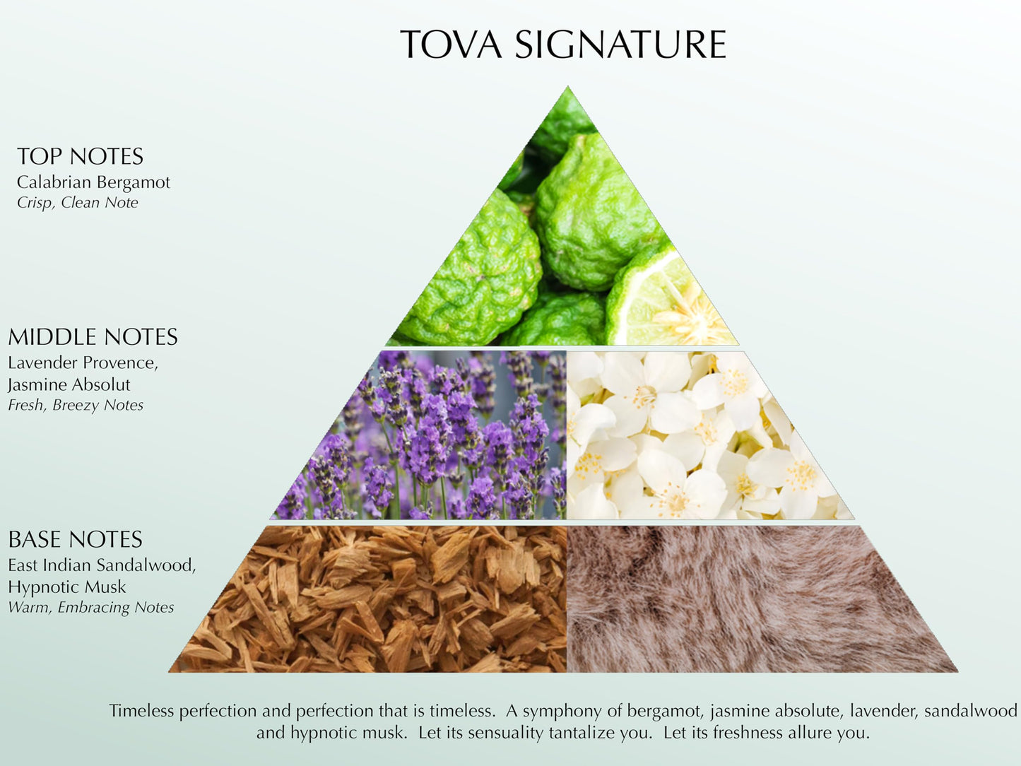 Tova Signature Shower Gel - Moisturizing Fresh & Floral Cleanser for Women - Cornflower and Sea Fennel - USA-Made and Cruelty-Free - 6.7 fl oz