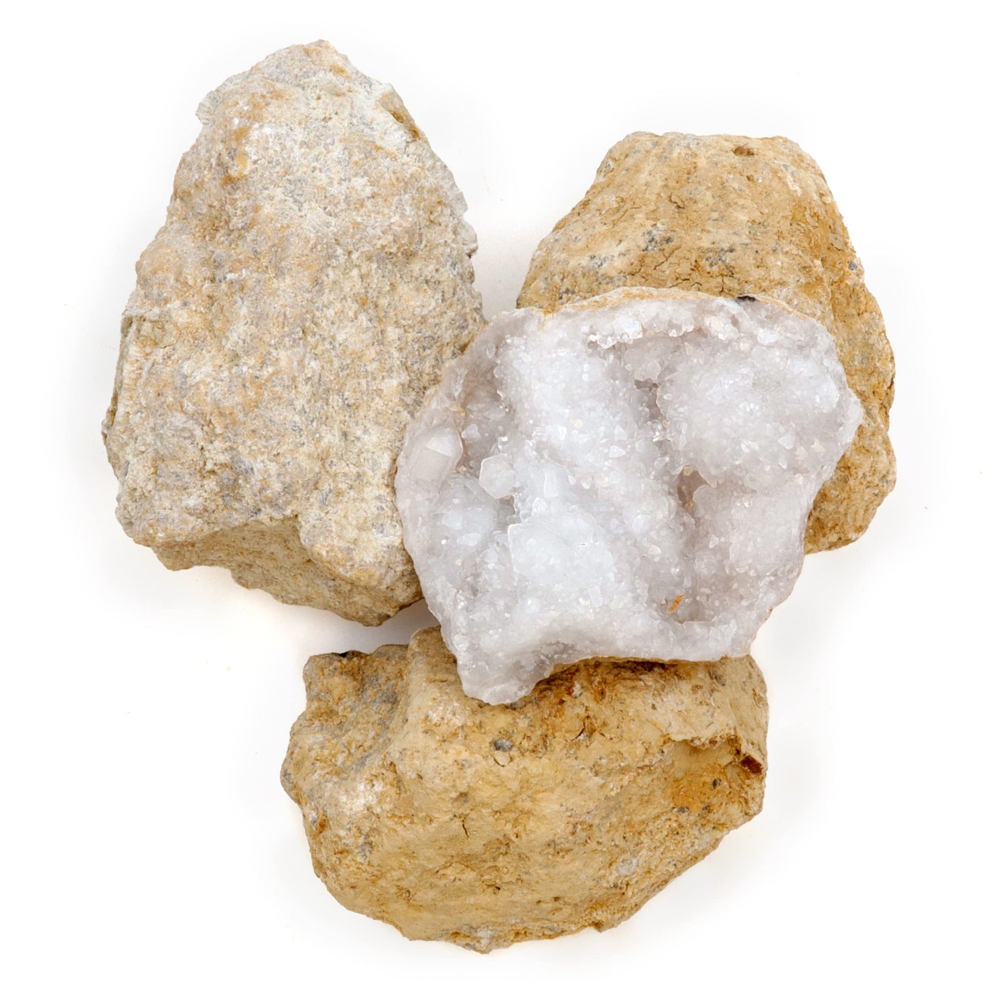 DANCING BEAR 25 Break Your Own Geodes – Medium 1–1.5" Hollow Crystals, Fun Educational Surprise Kit with Instructions, Party Favors & Prizes