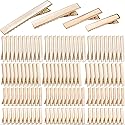 Duck Bill Hair Clips, 120pcs Gold Alligator Bow Clips Metal Single Prong Hair Curl Clips Flat Alligator Clips for Hair Styling Accessories or DIY