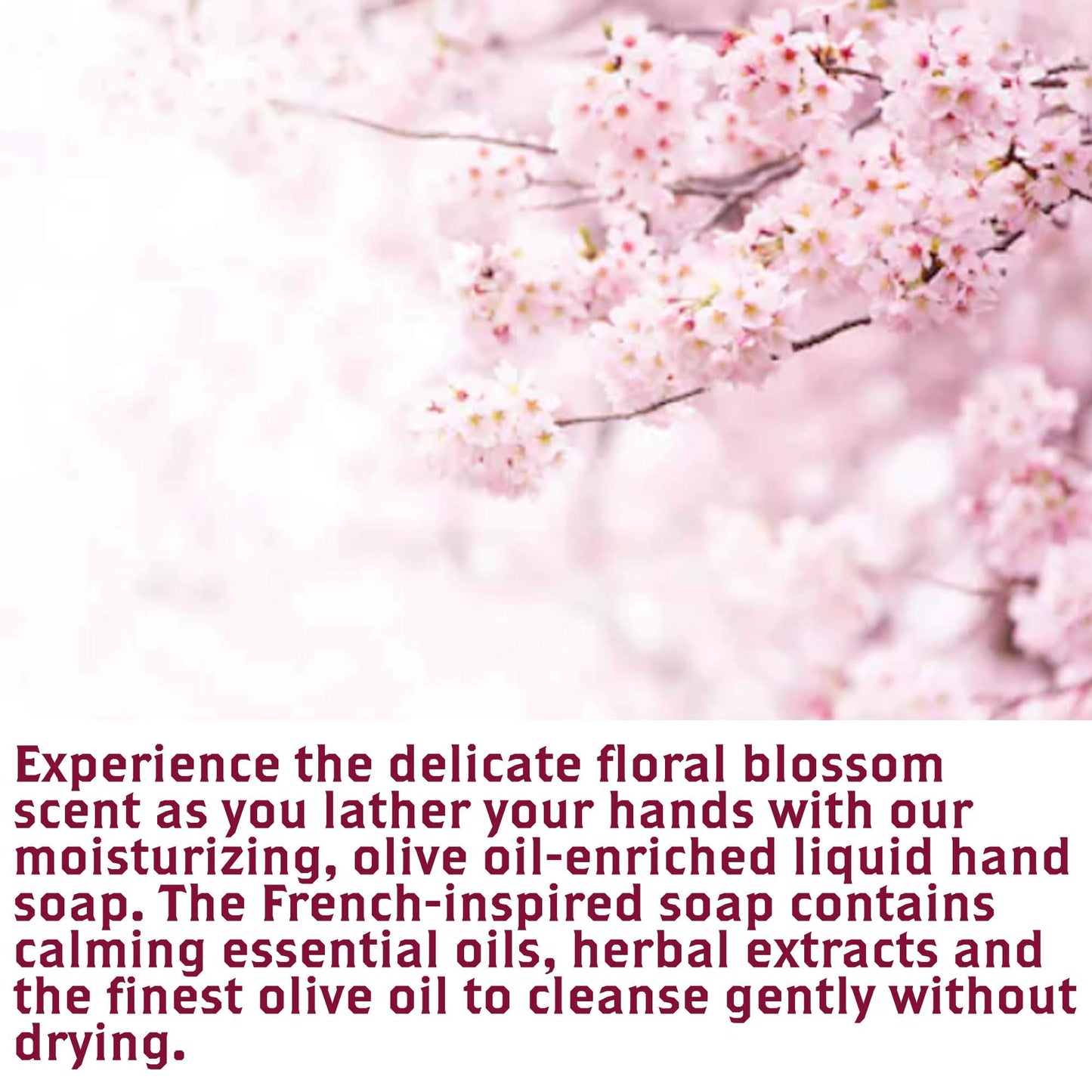 Olivia Care Liquid Hand Soap Blossom & Essential Oils. All Natural - Cleansing, Germ-Fighting, Moisturize Hand Wash for Kitchen & Bathroom - Gentle