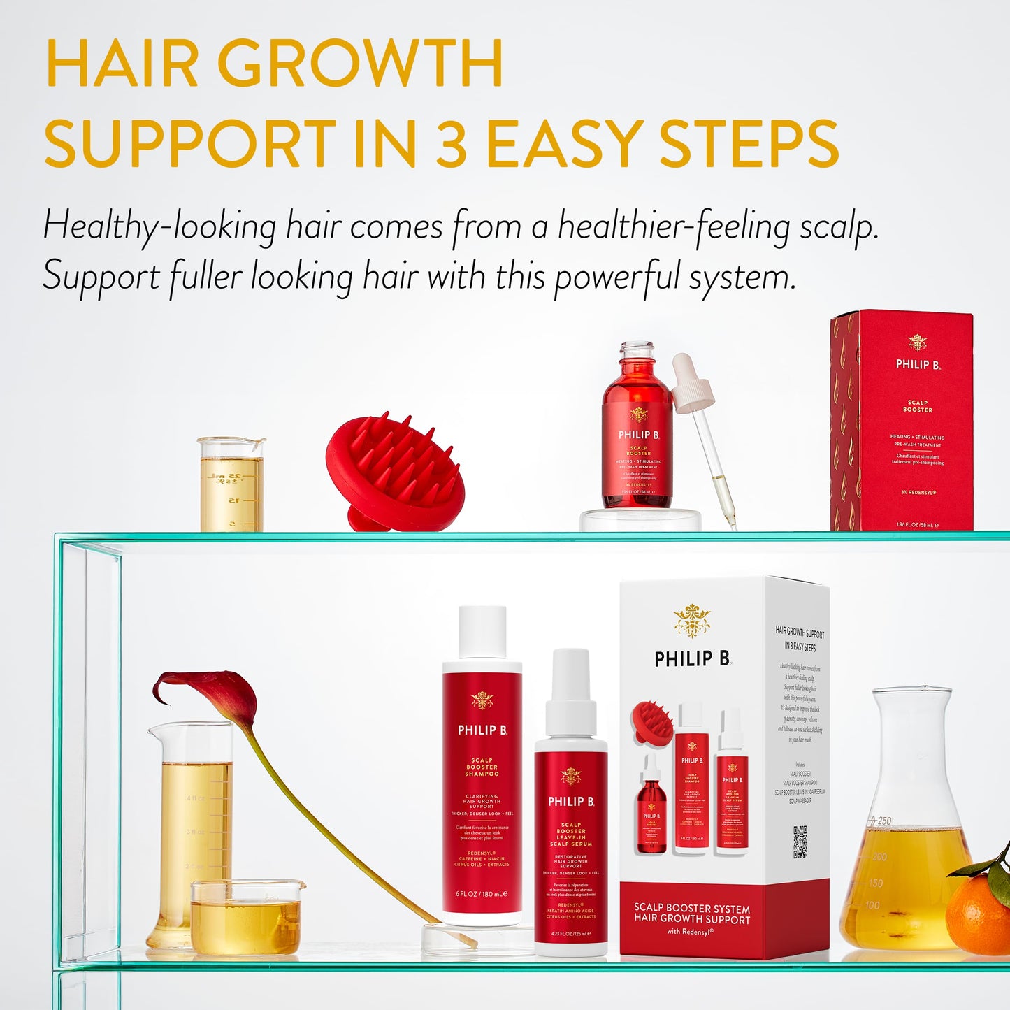 Philip B. Scalp Booster System - Includes Pre-Wash Scalp Treatment, Shampoo, Leave-In Conditioner and Scalp Massager