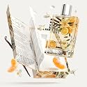 Kumbra With Love Gingerwood Eau de Parfum 100ML - Woody Perfume For Women - Long-Lasting Scent with Jasmine, Mandarin, Ginger, Orange & Sandalwood Beauty & Personal Care Kumbra With Love
