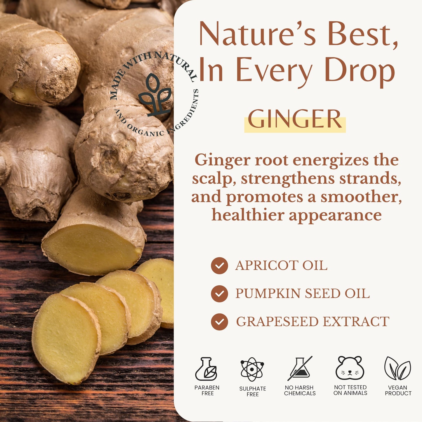 Edenika Botanicals Ginger Shampoo and Conditioner Set, Fortifying Formula with Certified and Organic Ingredients Naturally Nourish, Smooth