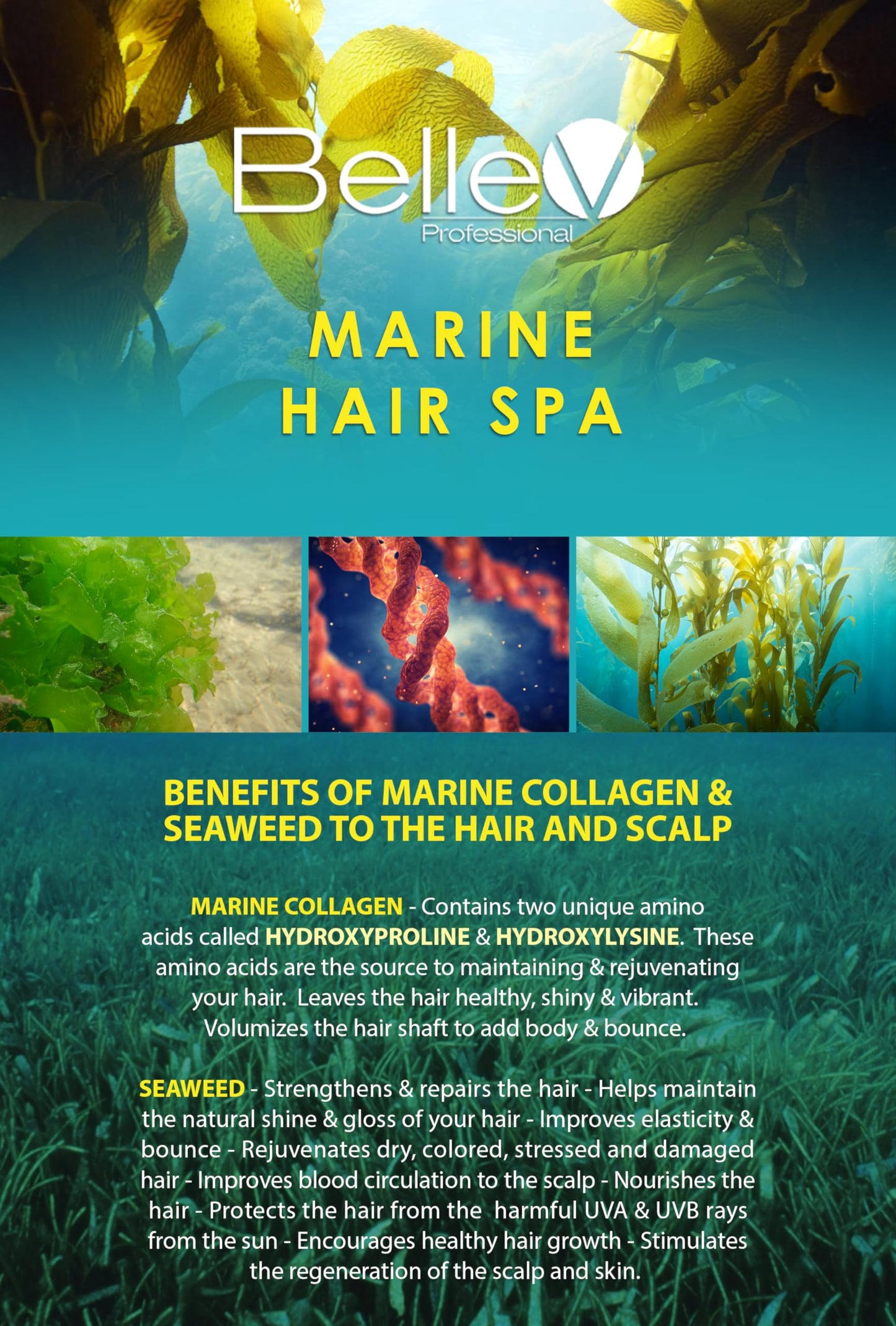 BelleV Professional Marine Hair Spa TRIO SET (16.8 fl oz) Marine Color Shampoo (16.8 fl oz) Marine Conditioner (300g) Brazilian Repair Mask