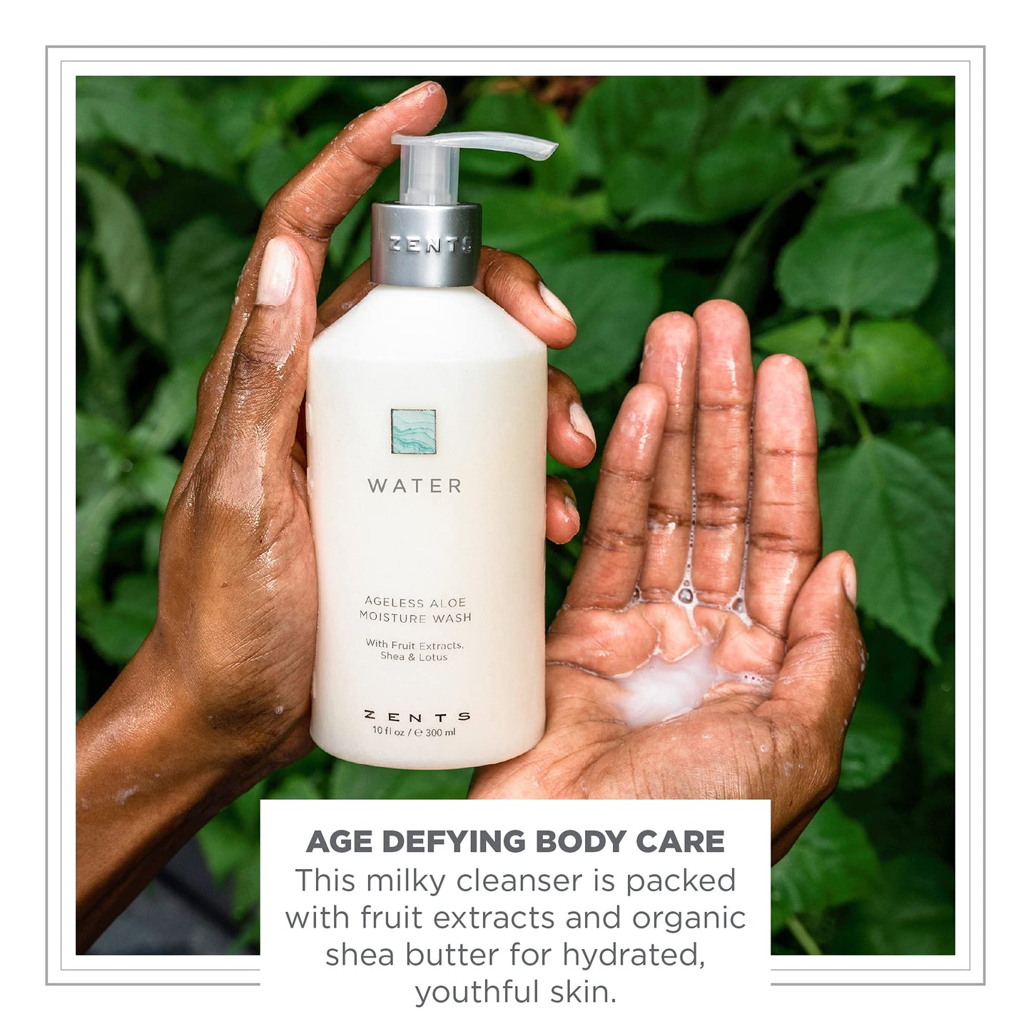 Zents Hand & Body Wash (Water Fragrance) | Hydrating Anti-Aging Cleanser with Organic Shea Butter & Aloe for Dry Skin | Gentle & Nourishing | 10 fl oz
