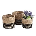 47th & Main Creative Brands Cylinder Basket Set, Small, Seagrass- Black Stripe, Set of 3