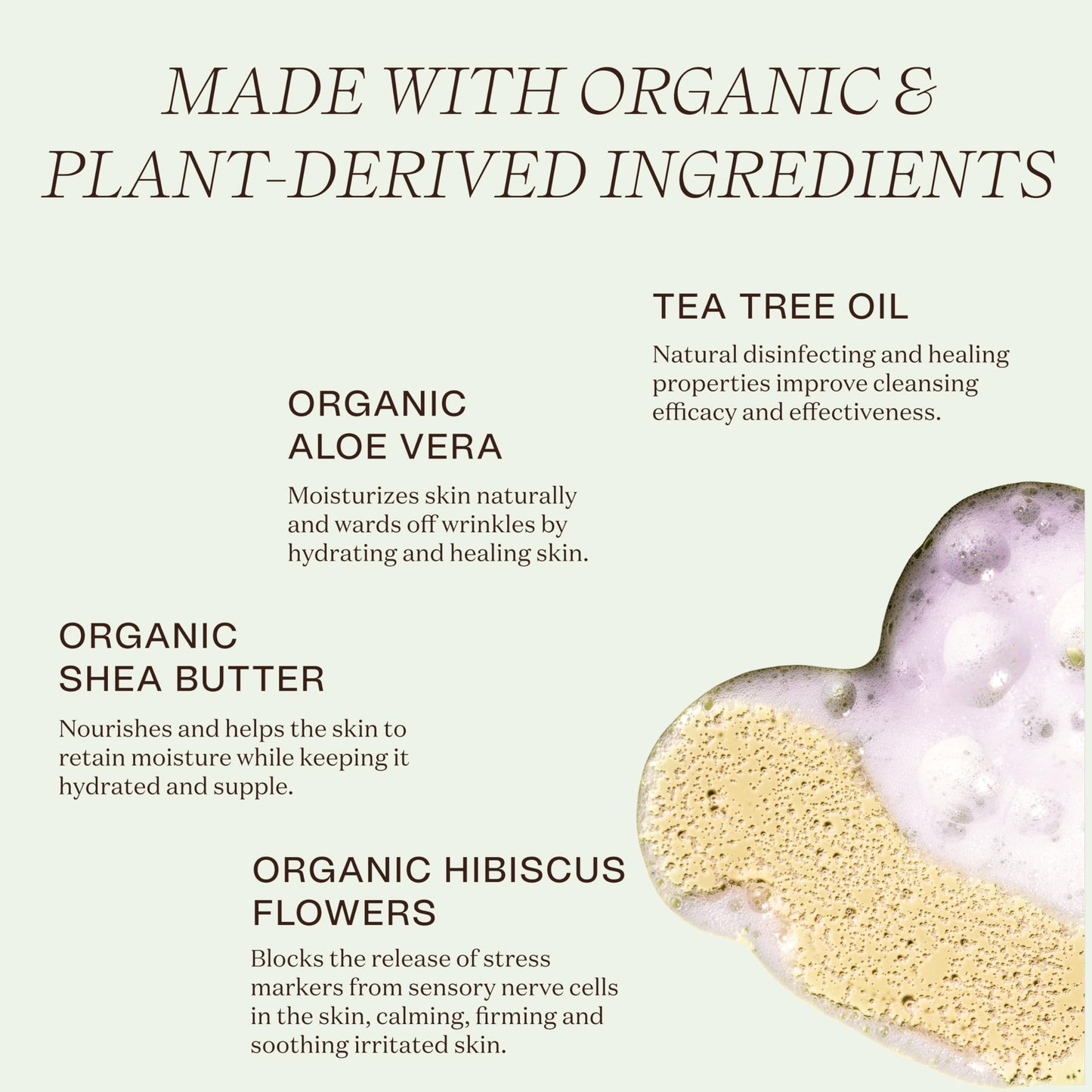 Ingreendients Moisturizing Body Wash For Sensitive, Dry & All Skin Types - pH Balanced, Natural, Organic, Non-Toxic, Vegan, Sulfate-Free Beauty & Personal Care Ingreendients