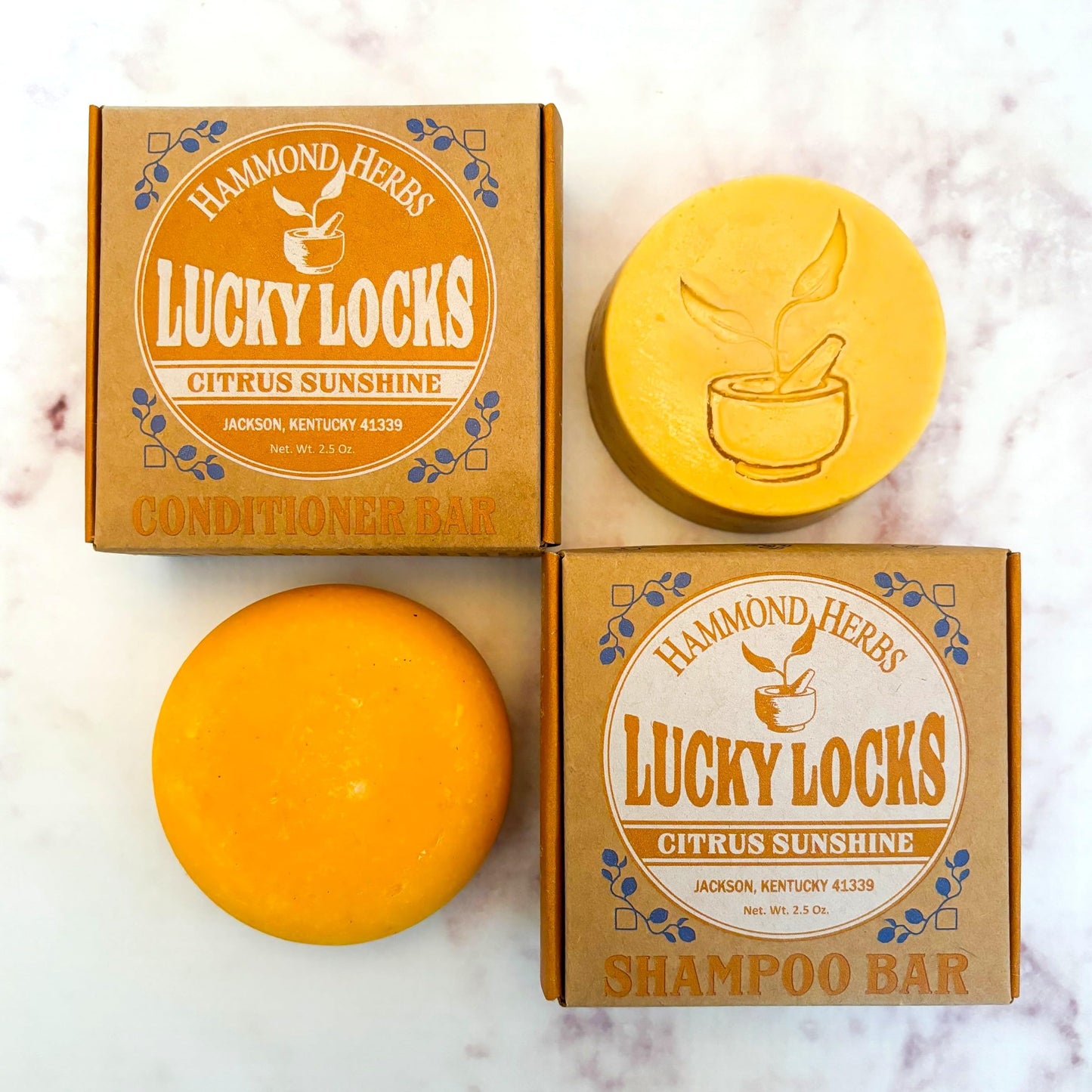 Lucky Locks | Pick Your Scent | Natural Shampoo & Conditioner Bar Set | Zero Waste Hair Care | Sulfate Free (Citrus Sunshine)