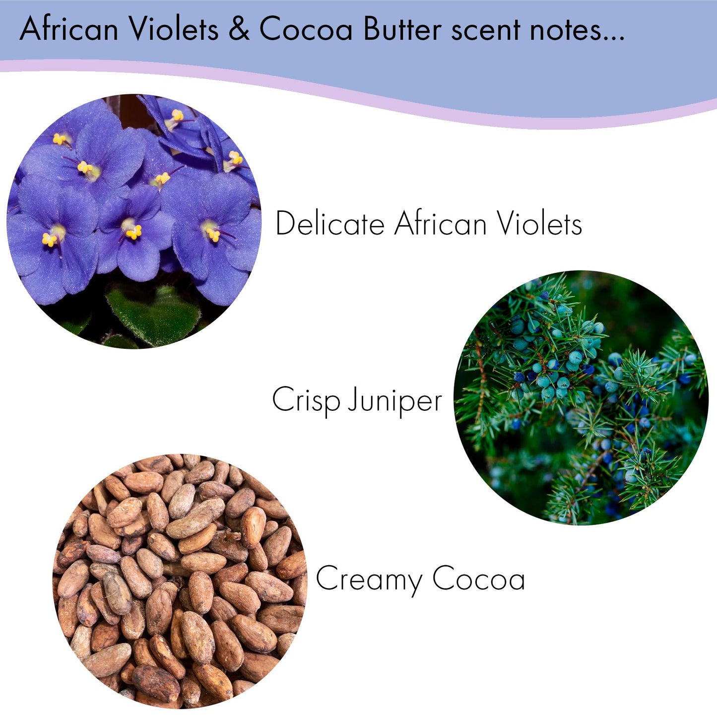 Floral Soap Sampler-Set of 6- Enriched with Shea Butter, Essential Oils, Natural Extracts (African Violet, Black Currant, Almond Butter, Lavender