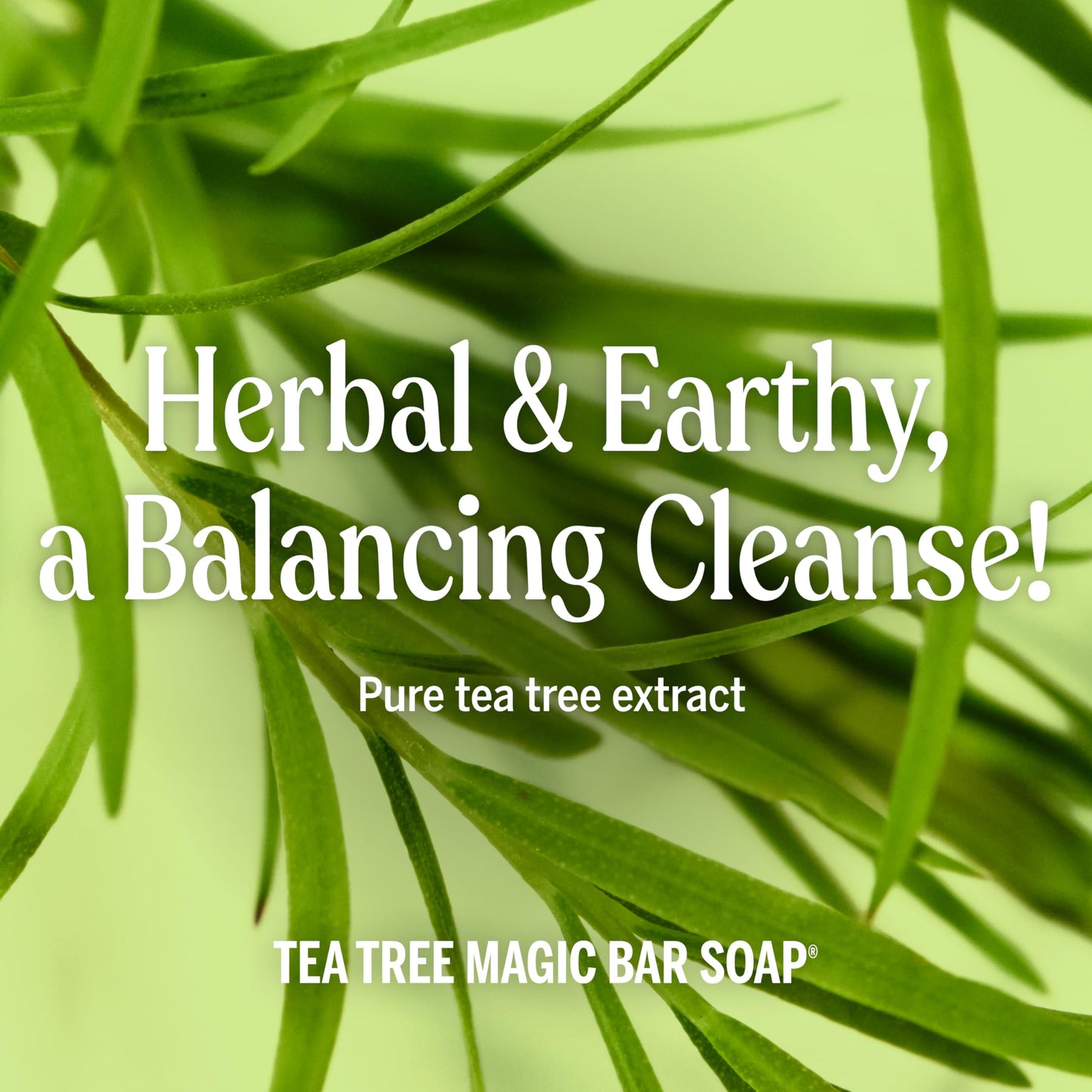 5OZ Tea Tree Bar Soap