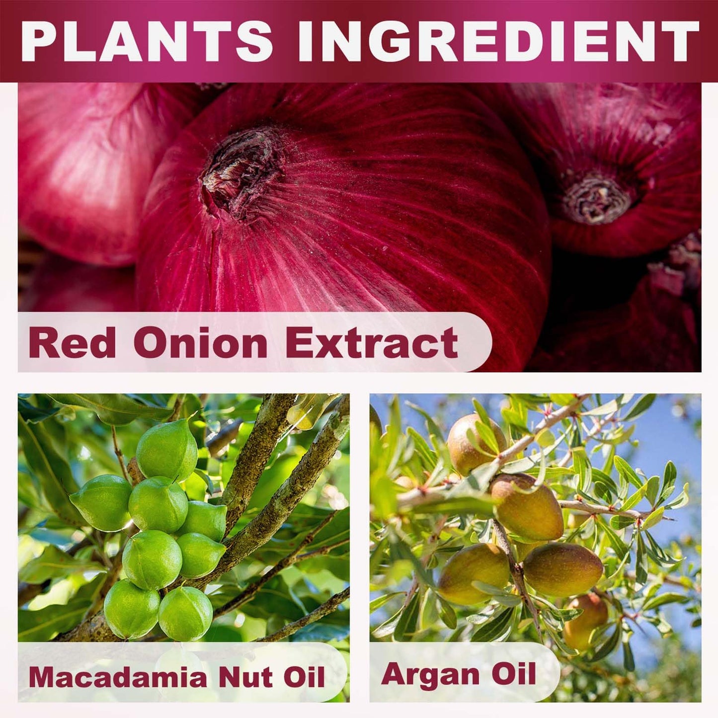Red Onion Shampoo & Treatment Set, Strengthens, Thickens & Reduces Hair Loss, Strengthening Follicles, Hydrating & Nourishing, for Thinning
