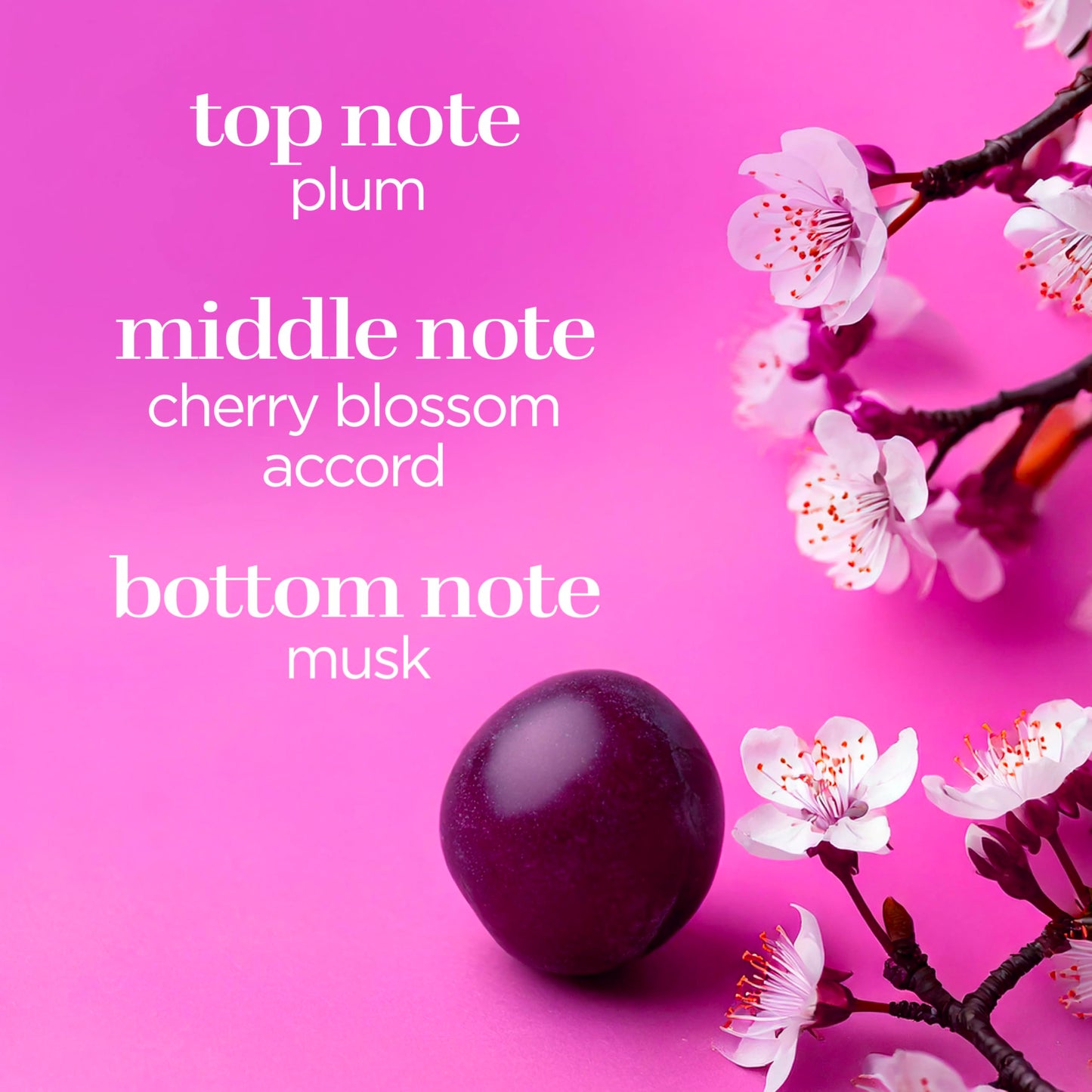 Body Fantasies Signature Fragrance Body Spray, Japanese Cherry Blossom, 8 fl oz (Pack of 2)