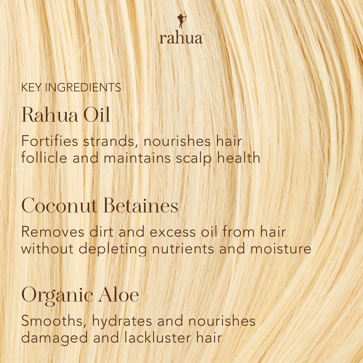 Rahua Classic Hair Conditioner, Vegan Hydrating Hair Care Oil, Quinoa, Organic Aloe Vera, Rosemary, Natural Palo Santo for Scalp Care, Promotes