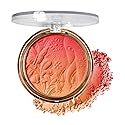 Kokie Cosmetics Soft Gradient Blush (Tender BL05)