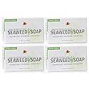 Reviva Seaweed Soap - 4 Pack - Organic Seaweed Face Scrub and Exfoliating Body Scrub Soap Bar - 4.5 oz. Vegetable Base Natural Bar Soap and Seaweed