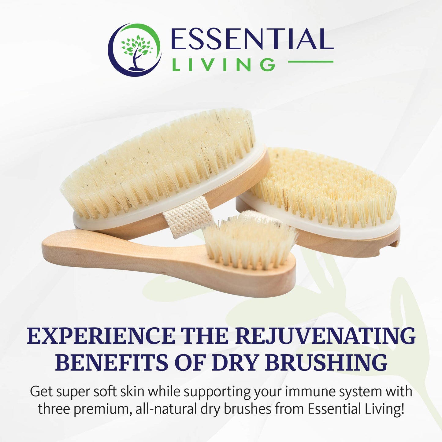 Essential Living: 3-Piece Dry Brushing Spa Kit - 1 Face Brush, 2 Body Scrub Brushes and a Cotton Bag - Body and Skin Care for Exfoliation, Blood