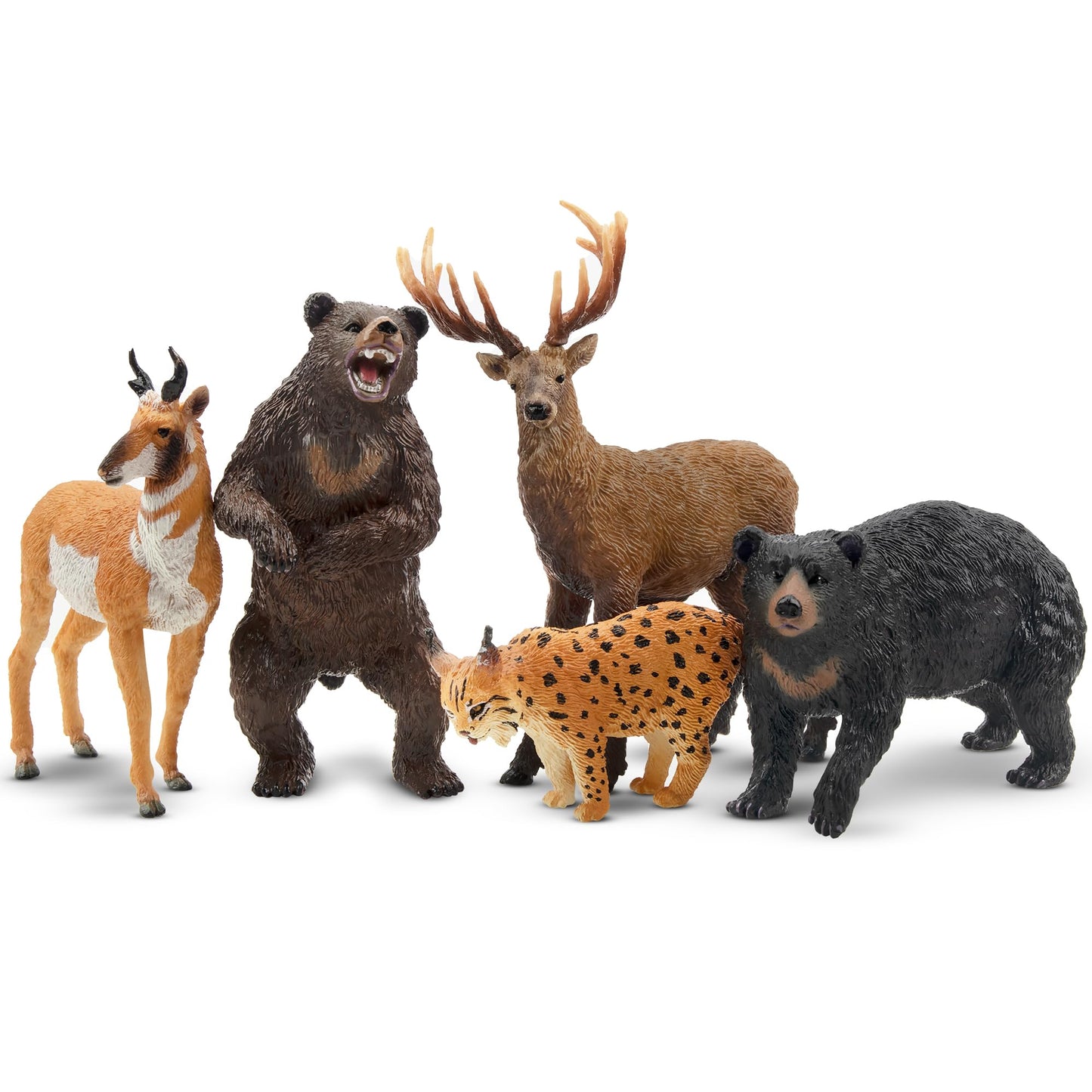 Toymany 12PCS North American Forest Animal Figurines – Realistic Jungle Wildlife Set with Bear, Wolf, Eagle & More, Educational Toys for Kids