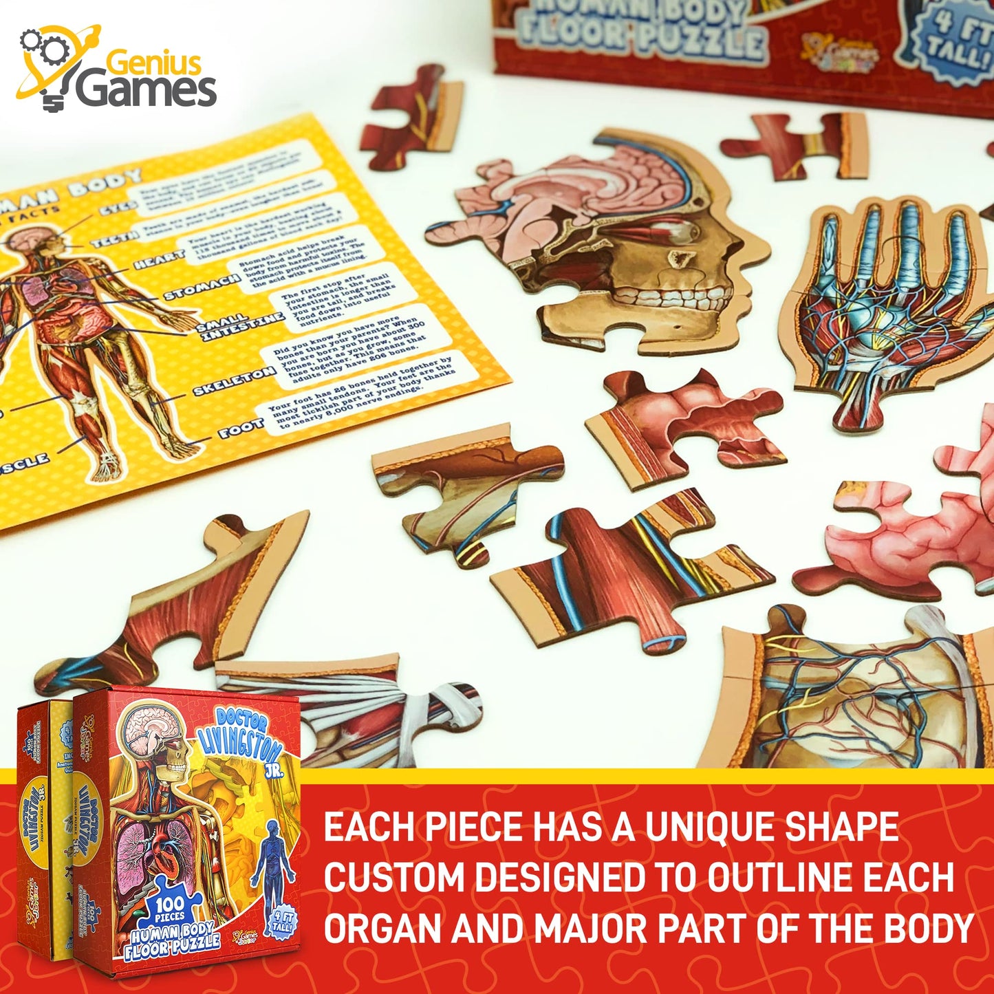 Human Anatomy Kids Floor Puzzle – 100-Piece Full Body Jigsaw, 4-Foot Medically Accurate Educational Toy for Kids Ages 4–10