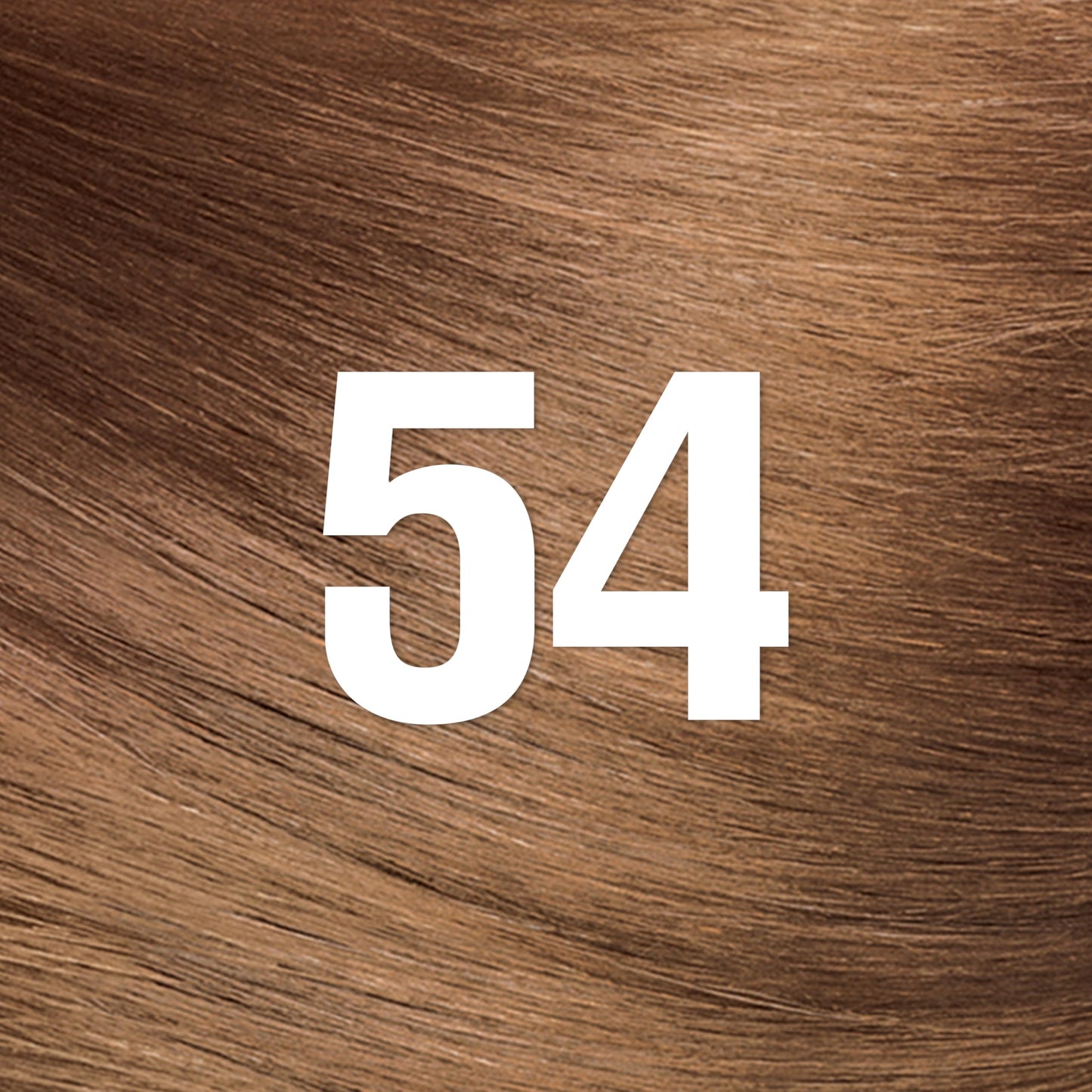 Revlon ColorSilk with Bond Repair Complex, Brown Permanent Hair Color, 100% Gray Coverage, Ammonia Free Hair Dye, Vegan Keratin, 54 Light Golden Brown