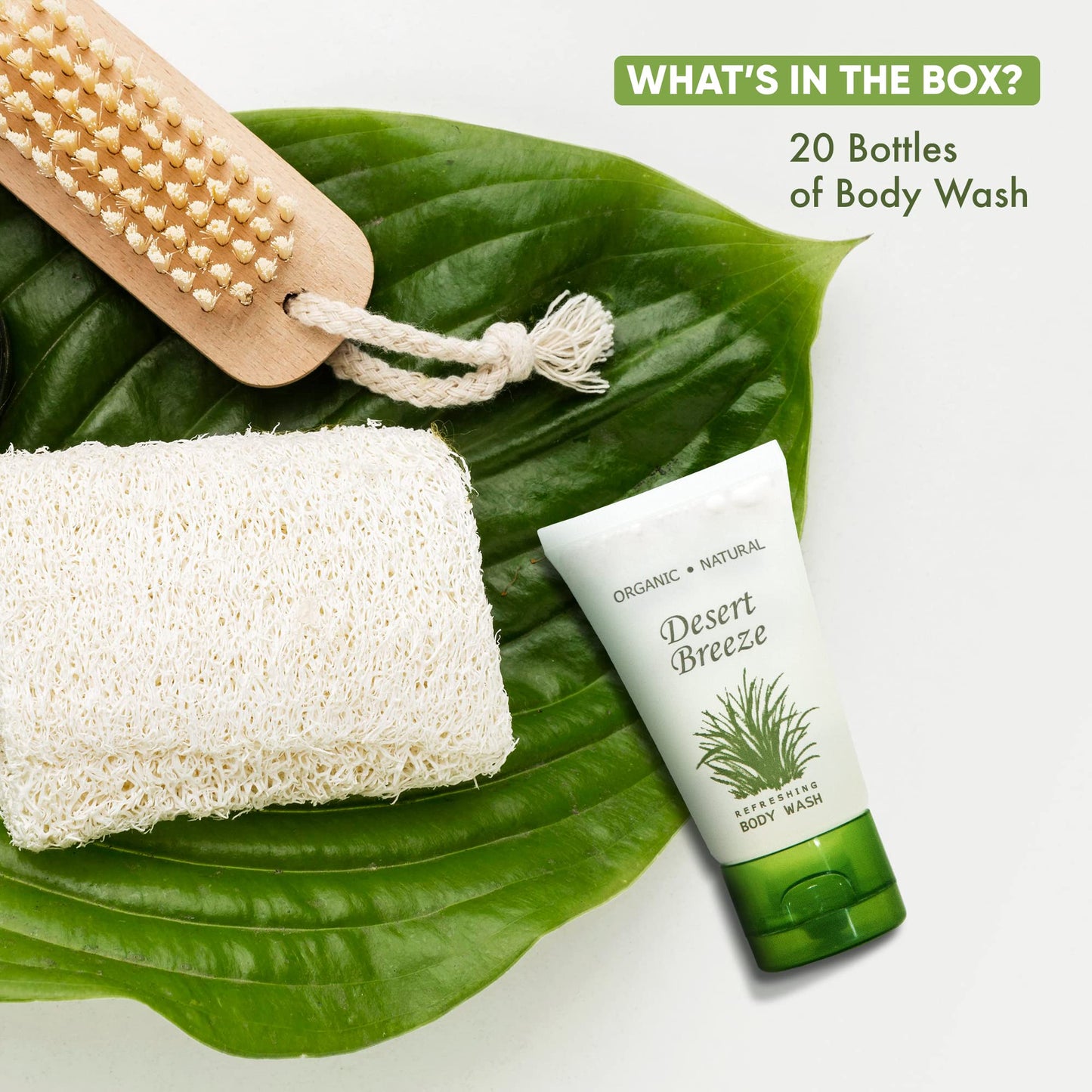 Travel Size Hotel Body Wash 20 Count 1 oz Bottles Guest Amenities for Vacation Rentals and Short Term Rentals Paraben Free Green Tea & Lemongrass