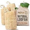 CraftsOfEgypt Natural Loofah Sponge - Egyptian Luffa Body Scrubber Pack of 3 for Men & Women, Natural Bath & Shower Loofah Exfoliator, All Natural