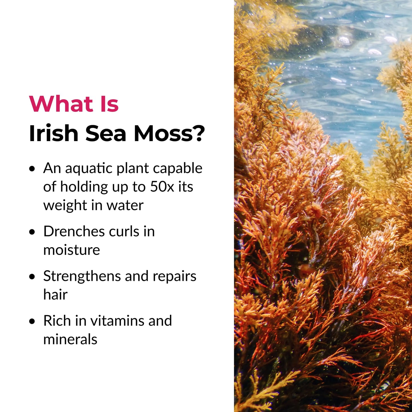 Love Ur Curls Irish Sea Moss Hair Gel, Medium Hold Hair Styling Curling Gel for Defined Curly Hair, Waves & Coils, Vegan, Cruelty Free, 236mL