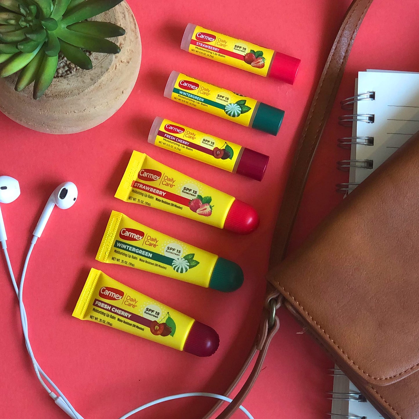 Daily Care Moisturizing Lip Balm with SPF Variety Pack in Fresh Cherry Strawberry and Wintergreen Flavors: Daily Care Sticks 0.15 OZ - 3 count (1