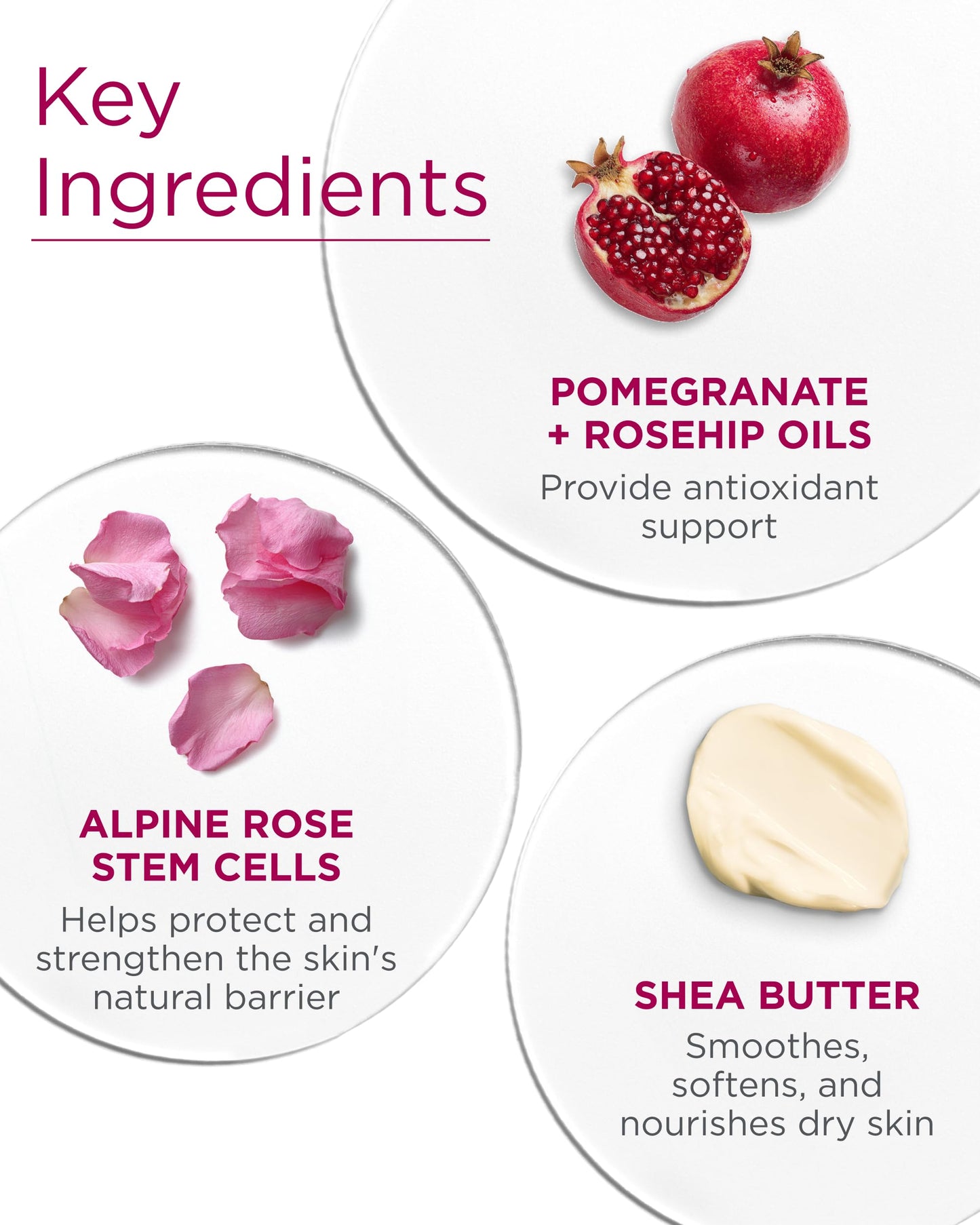 Andalou Naturals Body Lotion 1000 Roses