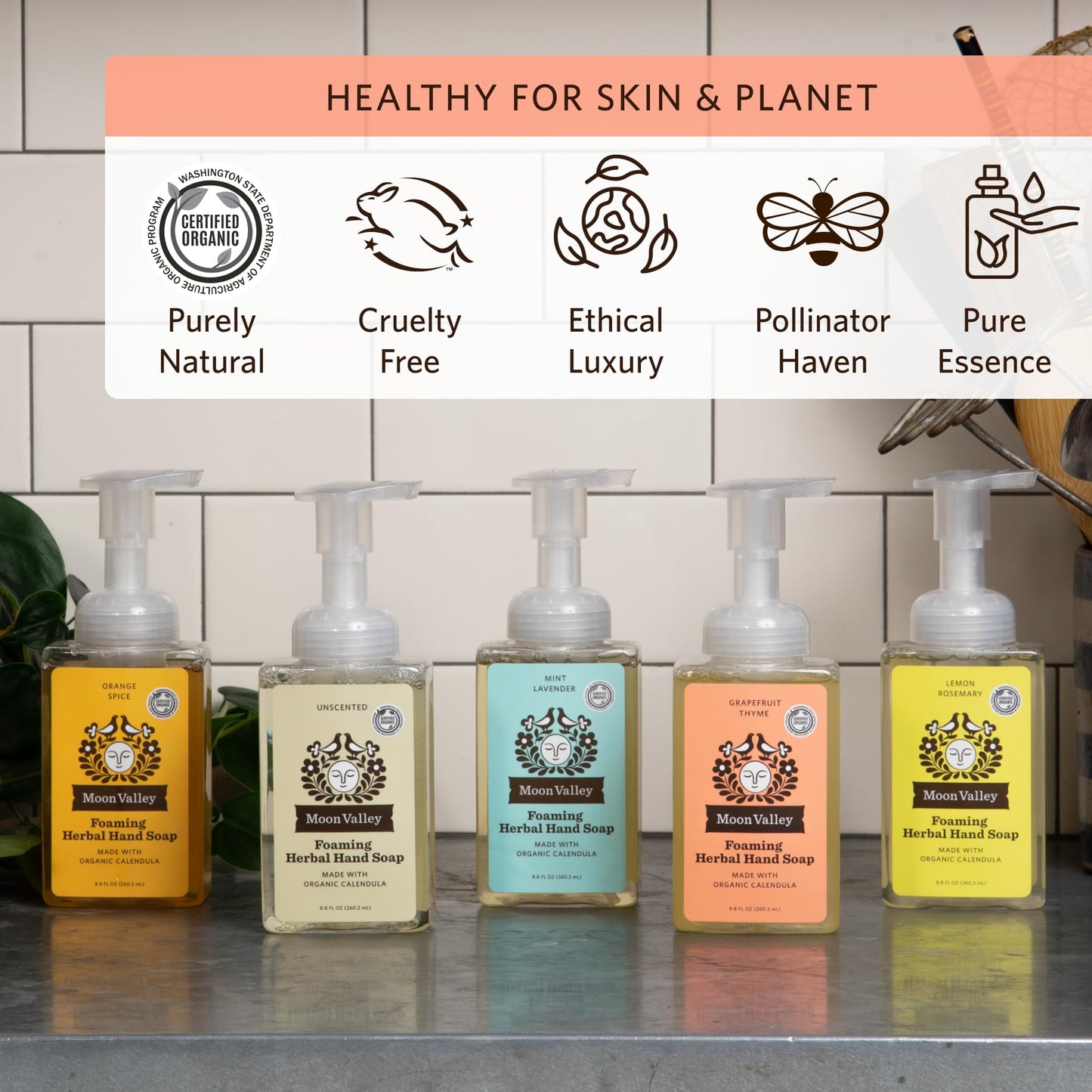 Moon Valley Herbal Foaming Hand Soap, Grapefruit Thyme 2 Pack, Vegan, Recyclable Bottle Beauty & Personal Care Moon Valley Organics