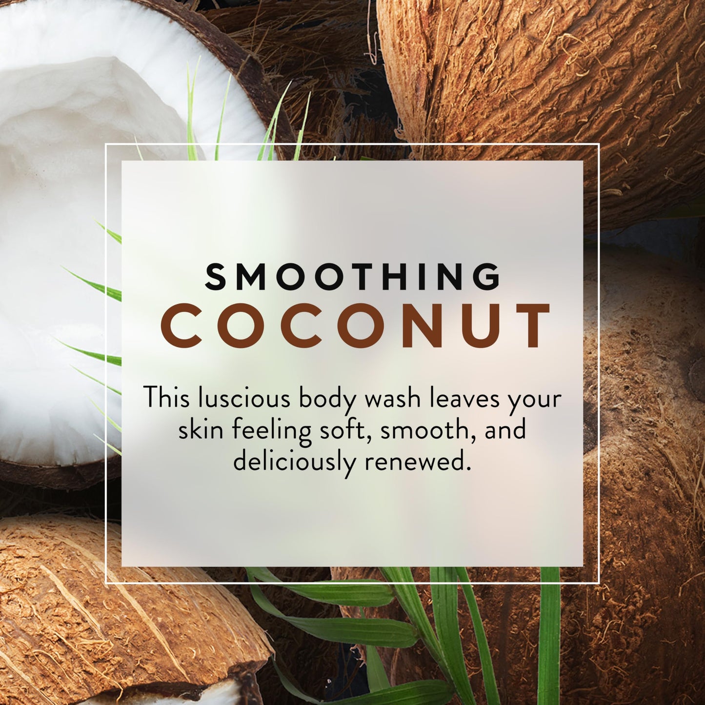 Body Wash,Smthing Coconut, Pack of 3 Beauty & Personal Care JASON