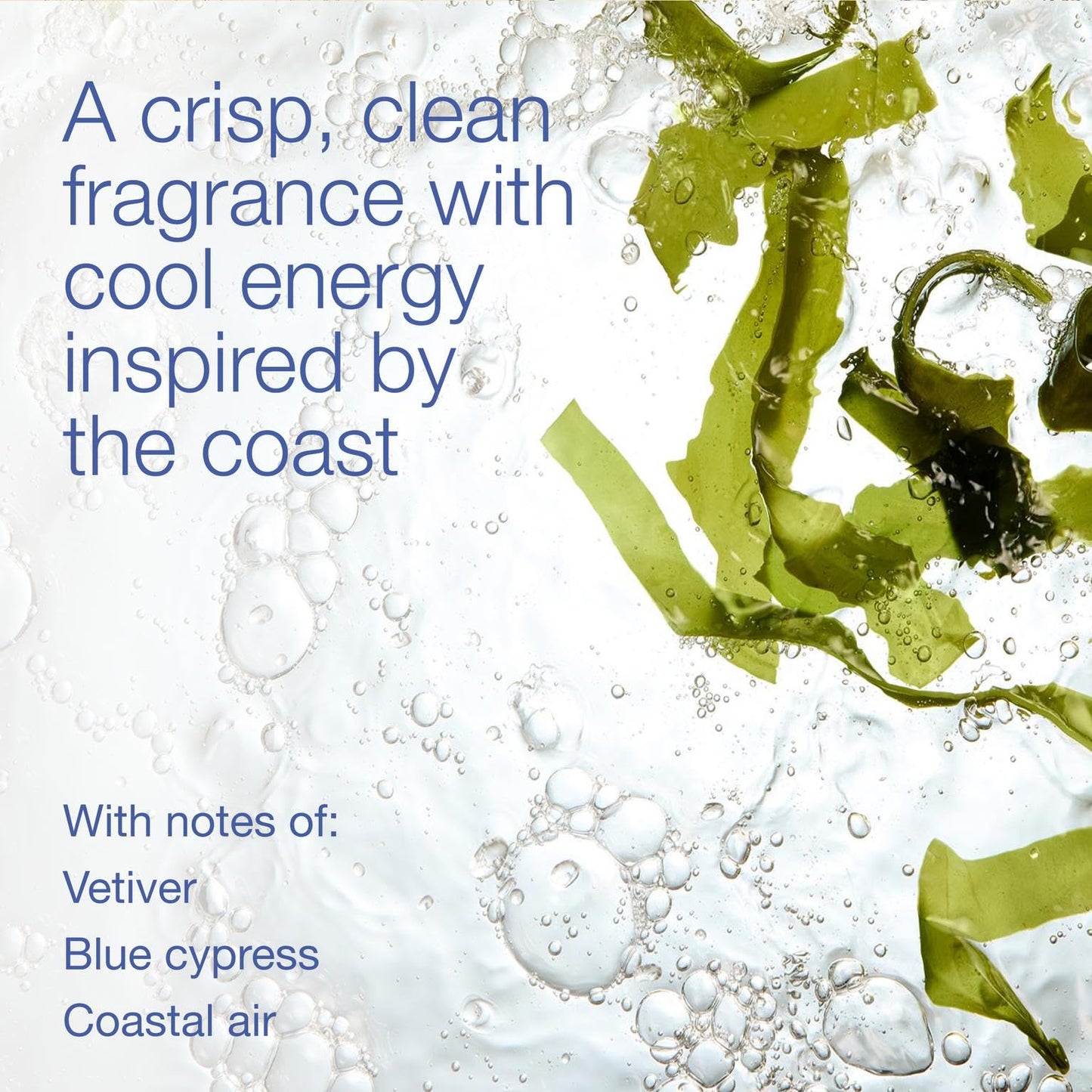 Bath & Body Works Body Spray for Men, Ocean Scent, Men’s Spray with Long-Lasting Personal Fragrance, Fresh Coastal Air & Cypress Scent, 3.7 oz - 1