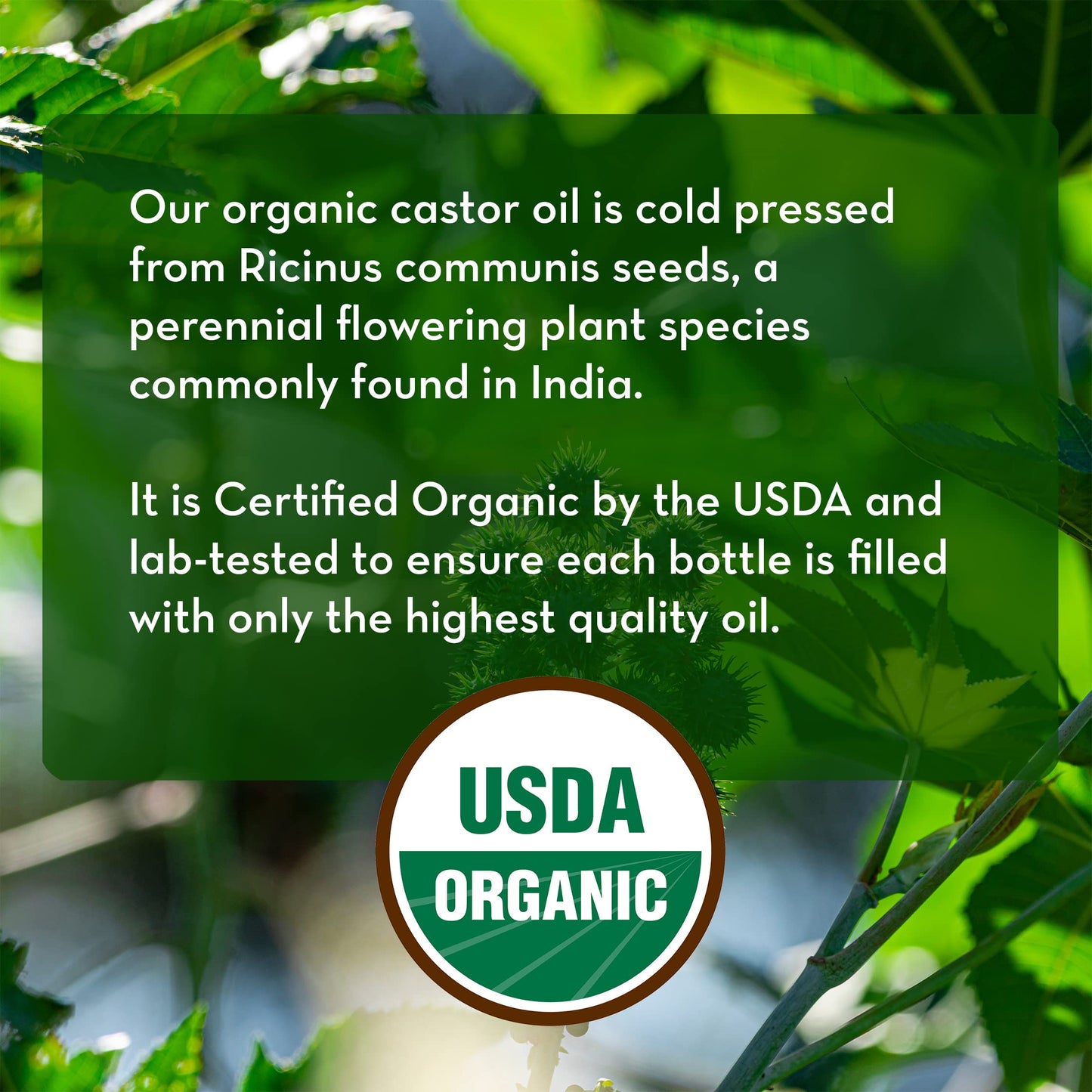 Pure Body Naturals Castor Oil for Face, Hair Growth, Skin, and Body - Cold Pressed Organic Castor Oil Aceite De Ricino Hexane Free Unrefined - 16 fl