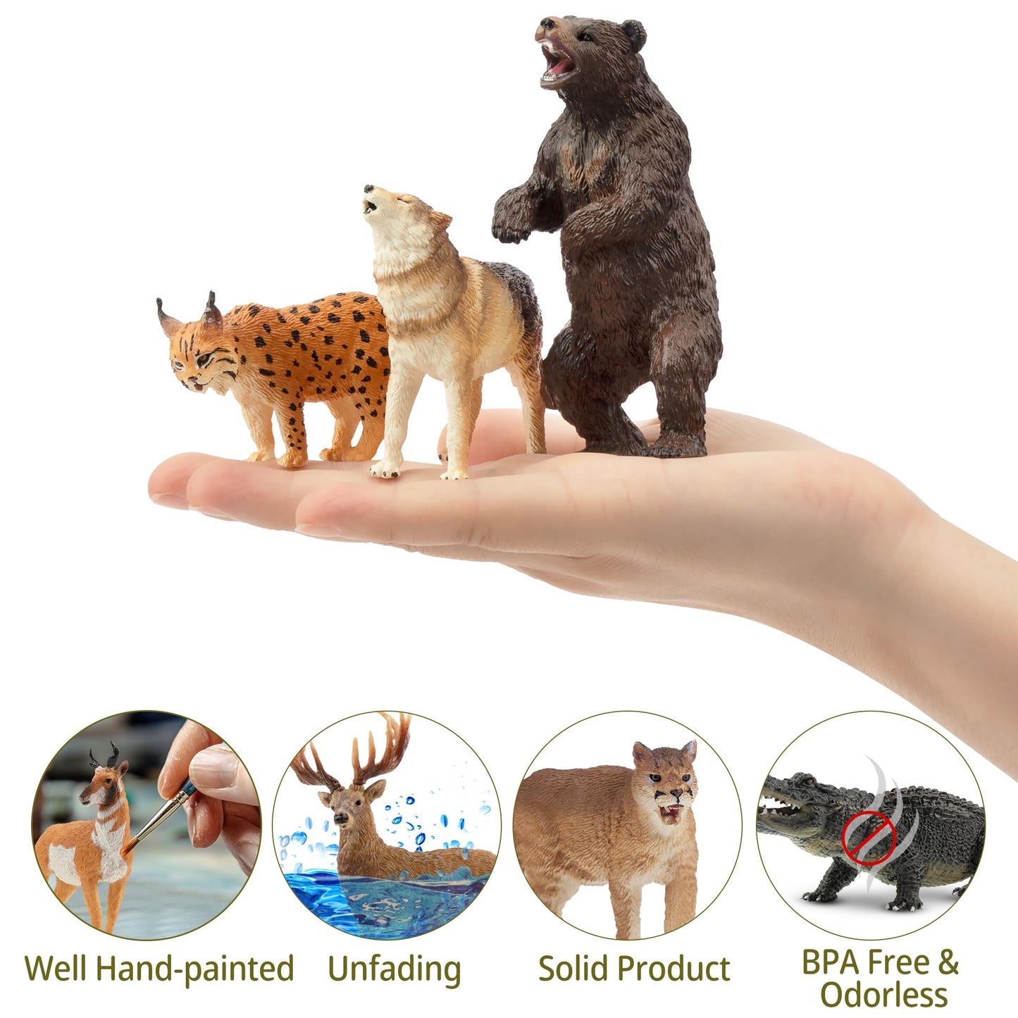 Toymany 12PCS North American Forest Animal Figurines – Realistic Jungle Wildlife Set with Bear, Wolf, Eagle & More, Educational Toys for Kids