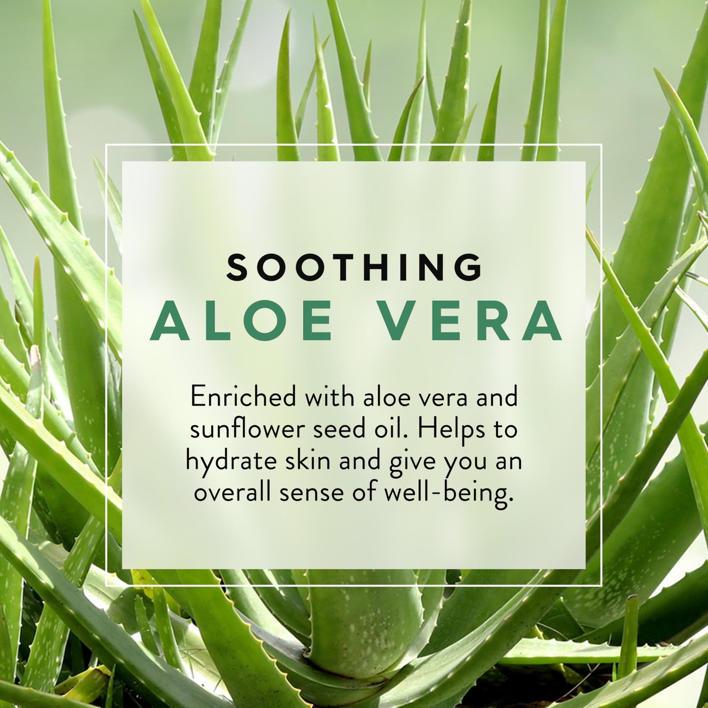 JASON Aloe Vera Soothing Body Wash, For a Gentle Feeling Clean, 30 Fluid Ounces Beauty & Personal Care JASON