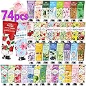 74 Pack Bulk Hand Cream,Stocking Stuffers for Teen Girls,Christmas Gifts for Coworkers,Teacher, Appreciation Gifts,Bulk Gifts for Nurse,Small Party