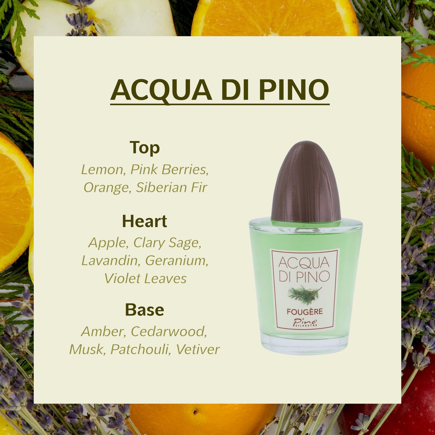 Acqua Di Pino Fougere By Pino Silvestre For Men - A Men's Eau De Toilette Cologne Perfume Spray With An Intense Fragrance For Every Guy - A Truly Male