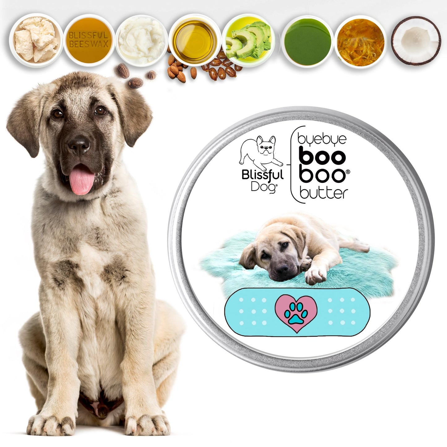 The Blissful Dog Anatolian Shepherd Boo Boo Butter, 4 Ounce Beauty and Personal Care The Blissful Dog