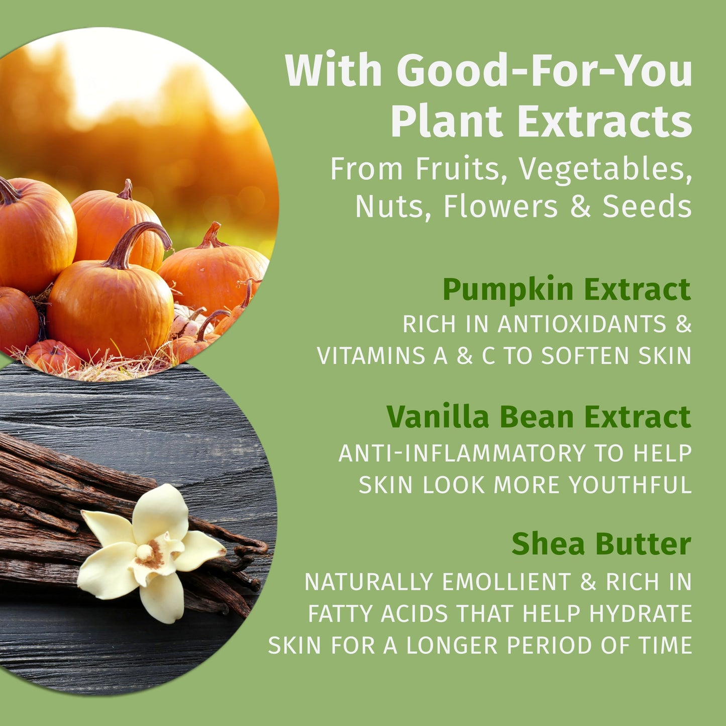 Limited Edition Pumpkin Spice & Vanilla Chai Herbal Moisturizing Body Lotion (17 oz) - Fall Scented for Women or Men with Dry or Sensitive Skin