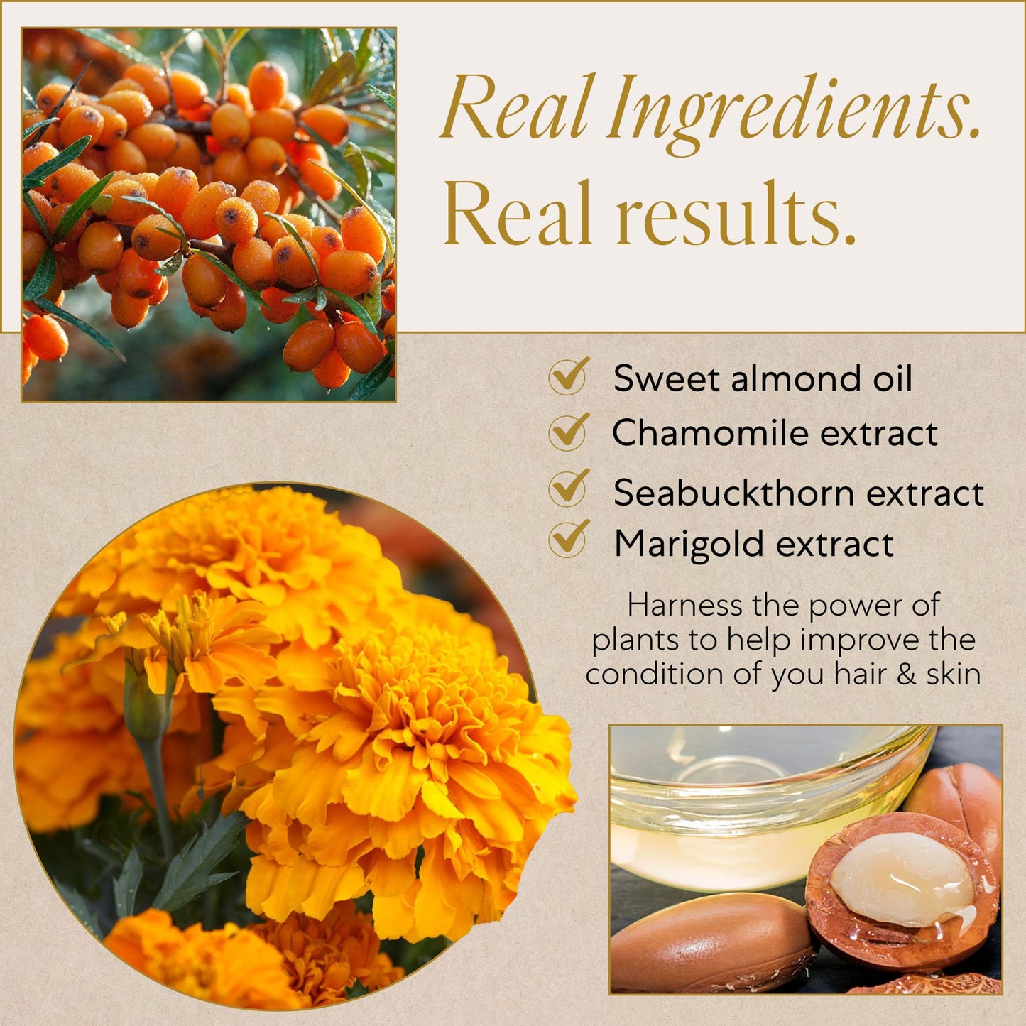 WEN by Chaz Dean Wen Sweet Almond Mint Straightening Smoothing Gloss, 1 fl.oz