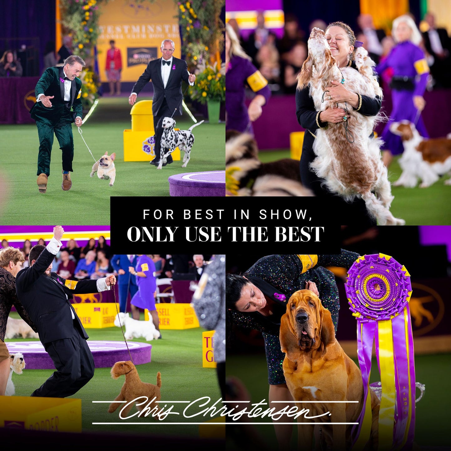 Chris Christensen Thick N Thicker Texturizing Bodifier Dog Whipped Creme Mousse, Groom Like a Professional, No Flakiness or Buildup, Washes Out