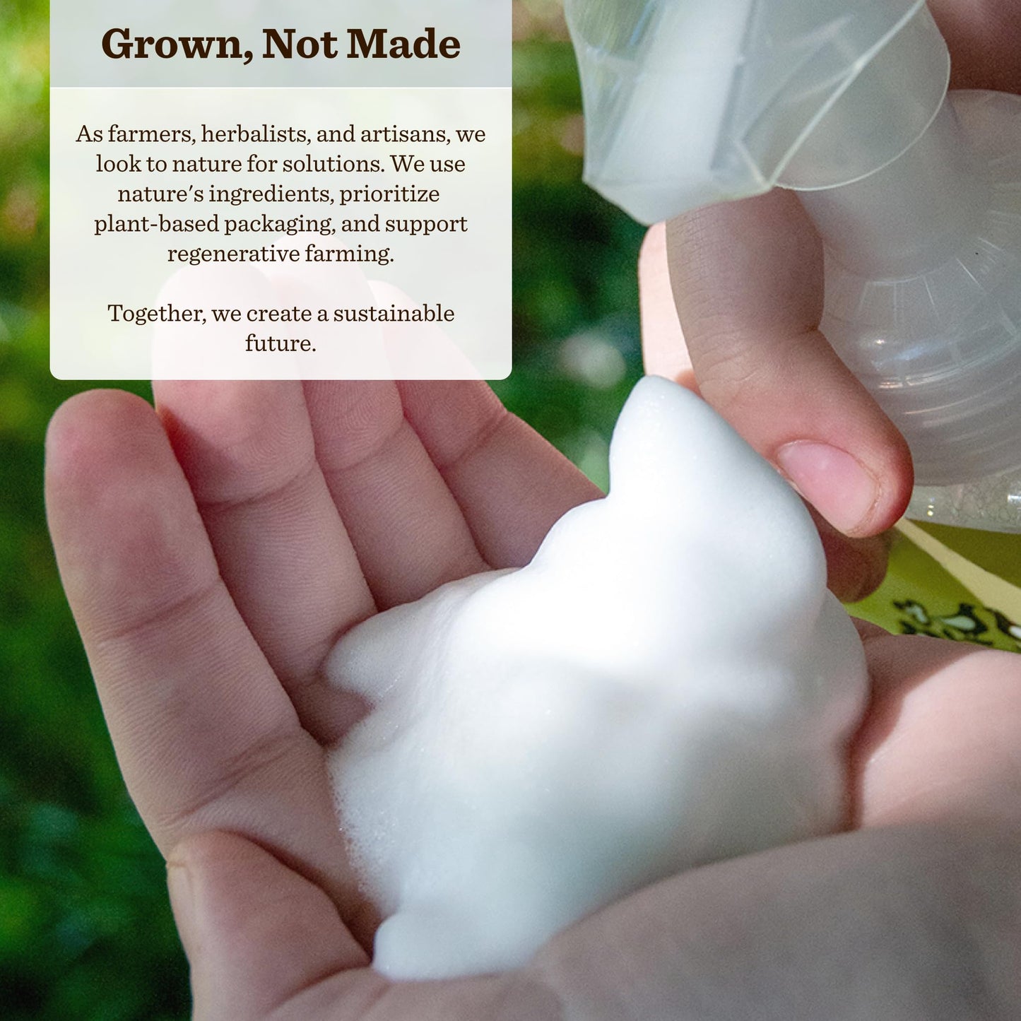Moon Valley Herbal Foaming Hand Soap, Vegan (First Frost, Recyclable Bottle)