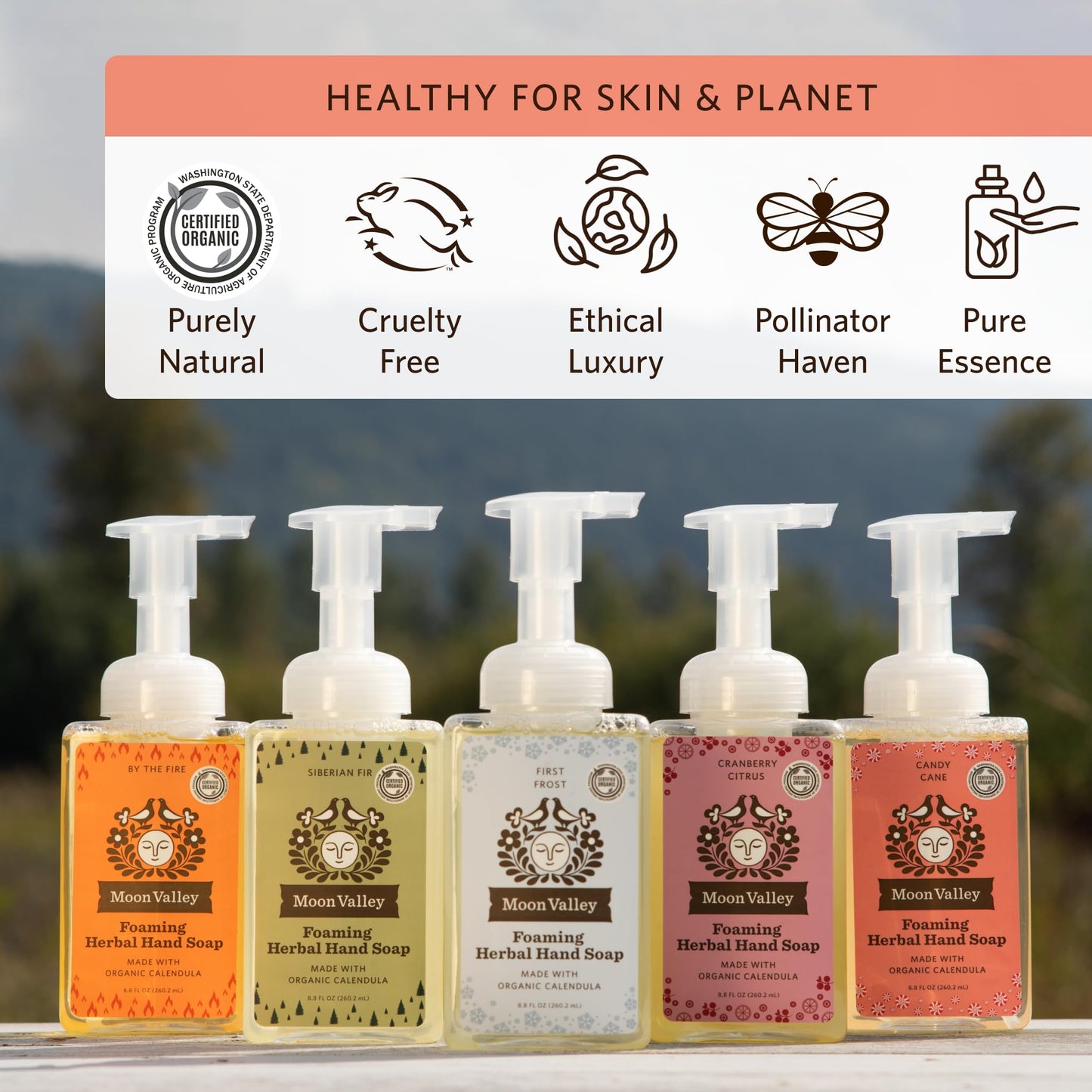 Moon Valley Herbal Foaming Hand Soap, Vegan (By the Fire, Recyclable Bottle) Beauty & Personal Care Moon Valley Organics