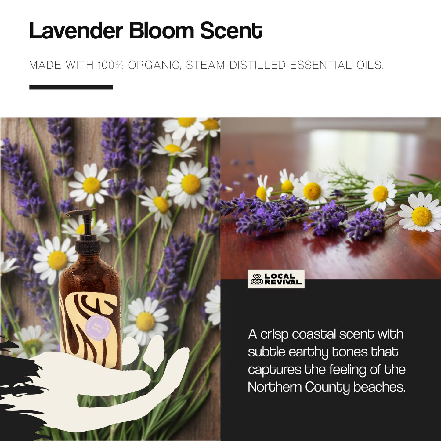 Local Revival Tallow and Honey Body Wash - Lavender Bloom - Beef Tallow with Honey, Olive Oil, Shea Butter and Jojoba Oil - Moisturizing Body Wash