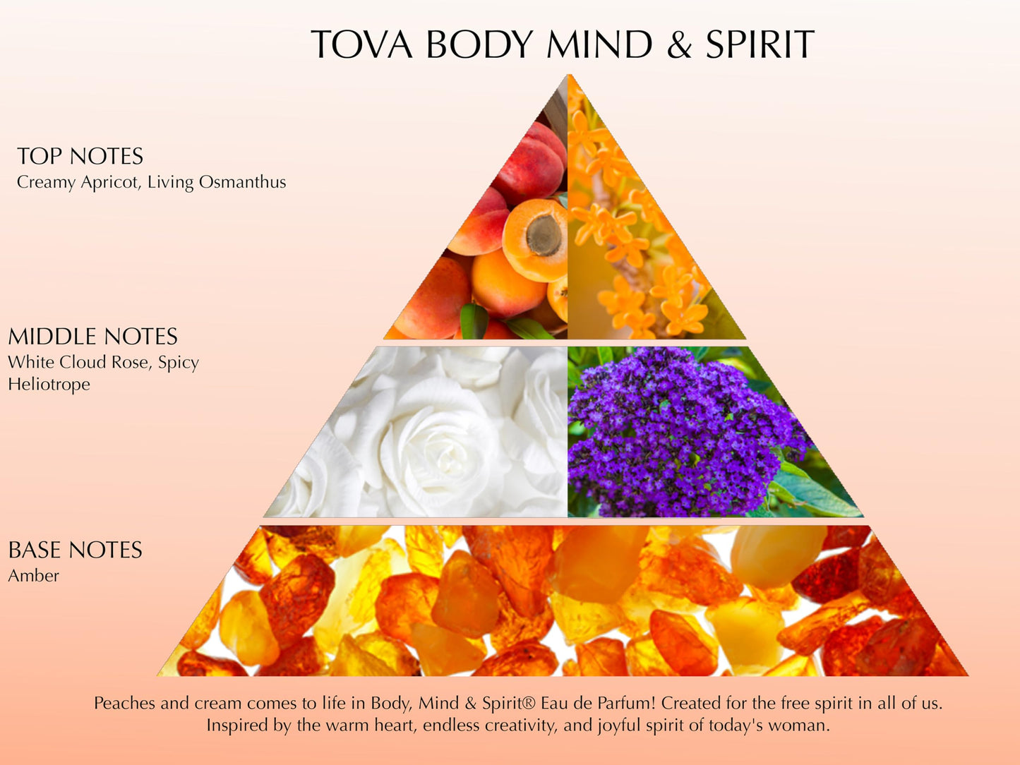 Tova Body, Mind & Spirit Eau de Parfum - Peaches & Cream Scent for Women - Osmanthus Rose Apricot - USA-Made & Cruelty-Free - 3.4 fl oz Beauty & Personal Care Tova