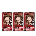 Revlon Permanent Hair Color, Permanent Hair Dye, Colorsilk with 100% Gray Coverage, Ammonia-Free, Keratin and Amino Acids, 43 Medium Golden Brown, 4.4