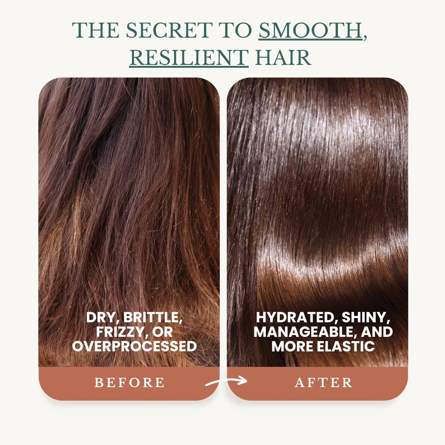 Edenika Botanicals Argan Oil Shampoo and Conditioner Set with Biotin, Repairs Dry & Damaged Hair, Deeply Hydrating & Nourishing, Women & Men