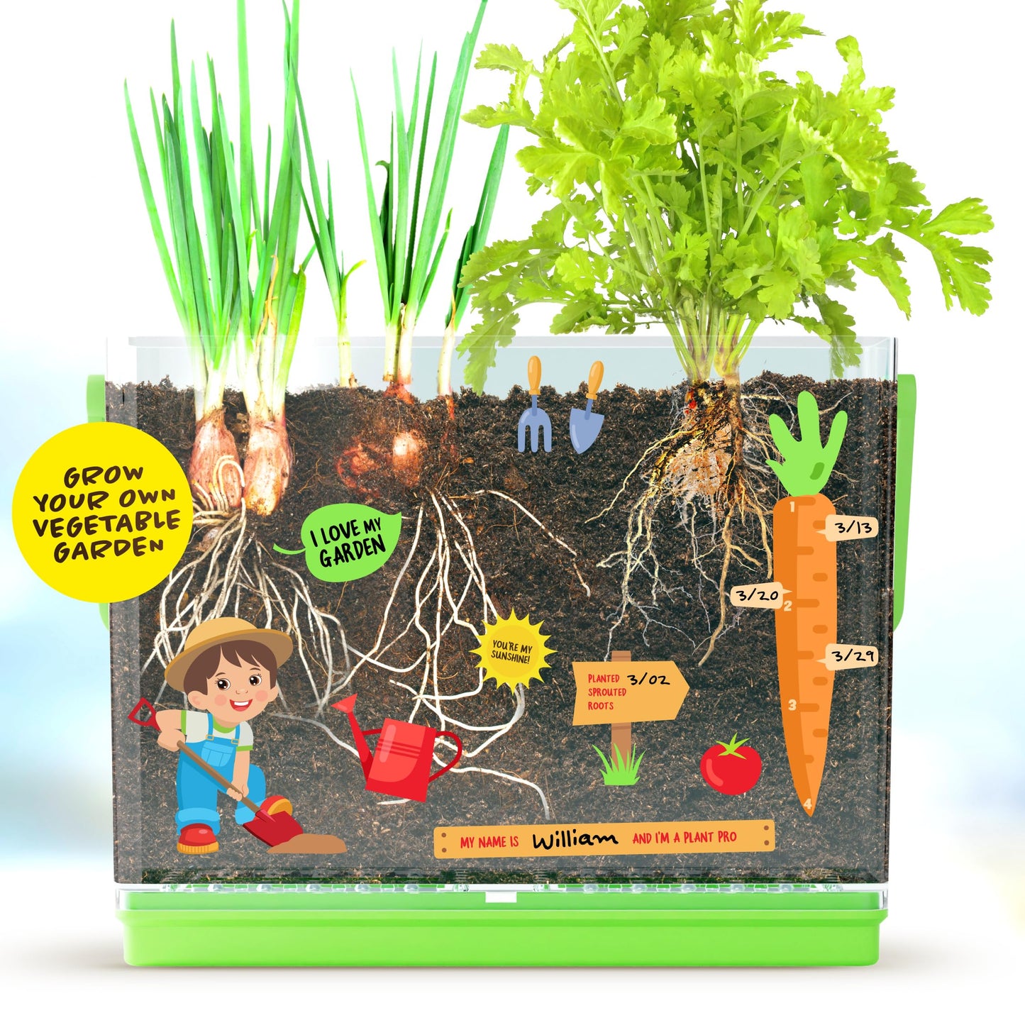 Dan&Darci Root Viewer Kit for Kids – Grow Your Own Plant STEM Science & Craft Set, Fun Gardening Gift for Boys & Girls Ages 4–8