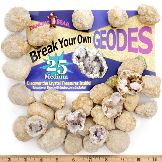 DANCING BEAR 25 Break Your Own Geodes – Medium 1–1.5" Hollow Crystals, Fun Educational Surprise Kit with Instructions, Party Favors & Prizes