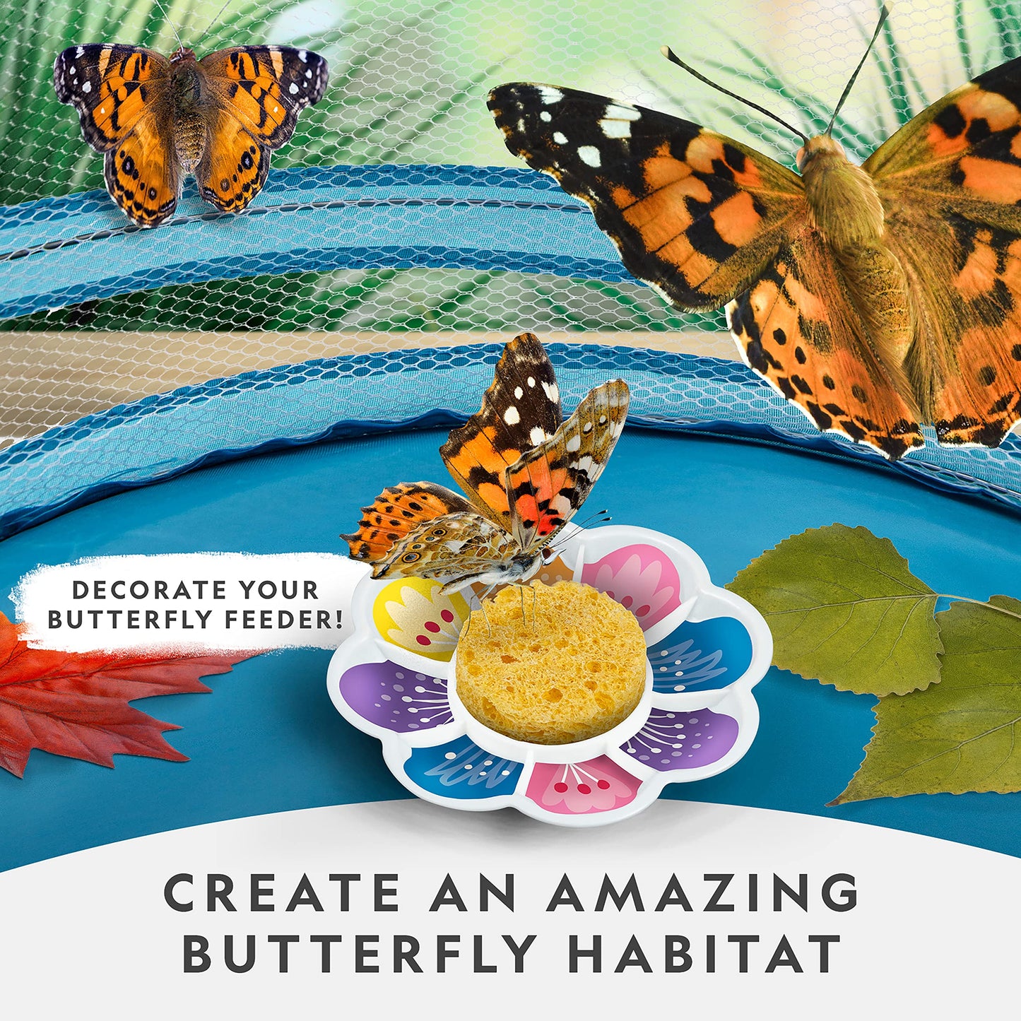 National Geographic Butterfly Growing Kit – Habitat with Voucher for 5 Caterpillars, Butterfly Cage & Feeder, Amazon Exclusive