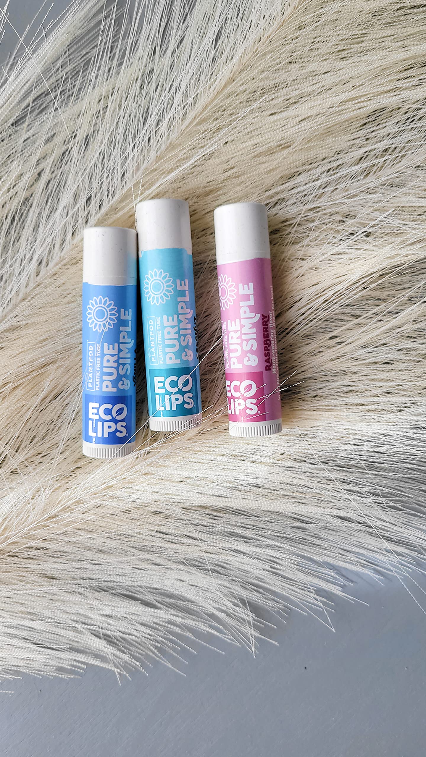 Eco Lips - Pure & Simple Raspberry, Coconut and Vanilla Organic Lip Balm 9-Pack (0.15 oz.) - 100% Natural. 100% Plastic-Free Plant Pod Packaging. Made